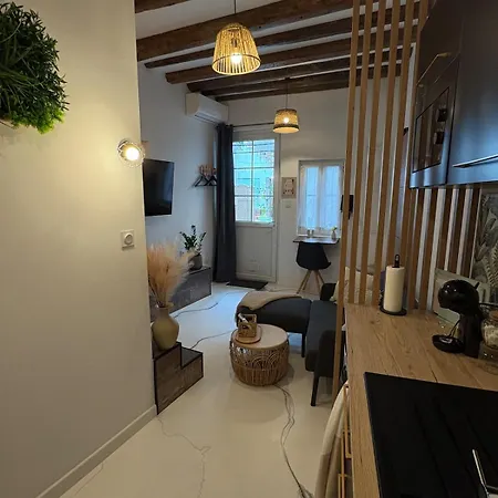 Jungle Atypique Avec Salle De Bain Grotte Cour Privee Centre 아파트 *