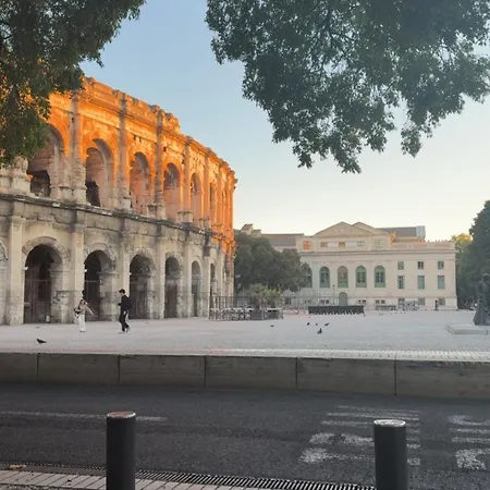 Jungle Atypique Avec Salle De Bain Grotte Cour Privee Centre Apartman Nîmes